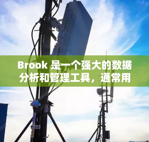 Brook 是一个强大的数据分析和管理工具，通常用于项目管理、数据分析、自动化任务调度等场景。以下是一个详细的配置指南，帮助你顺利配置和使用Brook