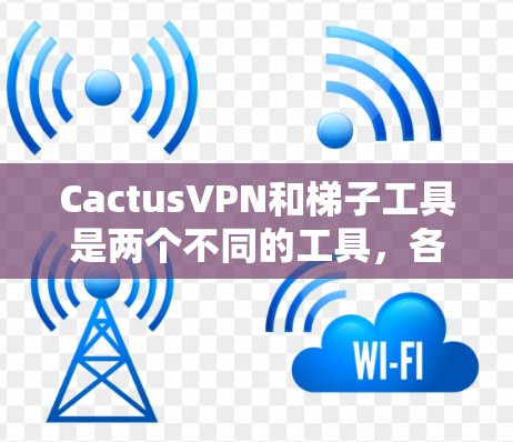 CactusVPN和梯子工具是两个不同的工具，各有其独特的功能和适用场景，以下是详细的对比分析