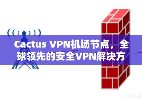 Cactus VPN机场节点，全球领先的安全VPN解决方案