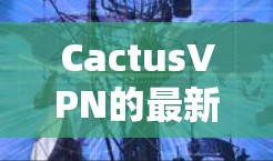 CactusVPN的最新版本是基于IPsec的安全协议，支持多端访问和云存储功能，用户界面友好，价格合理，适合家庭、企业或个人用户。以下是对其功能和用户体验的总结